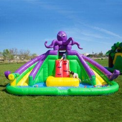 Double octopus water slide with pool WET ONLY