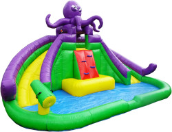 Double octopus water slide with pool WET ONLY