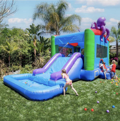 octopus20combo20with20pool20stock1 1774715880 Octopus combo with pool