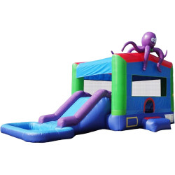 Octopus combo with pool